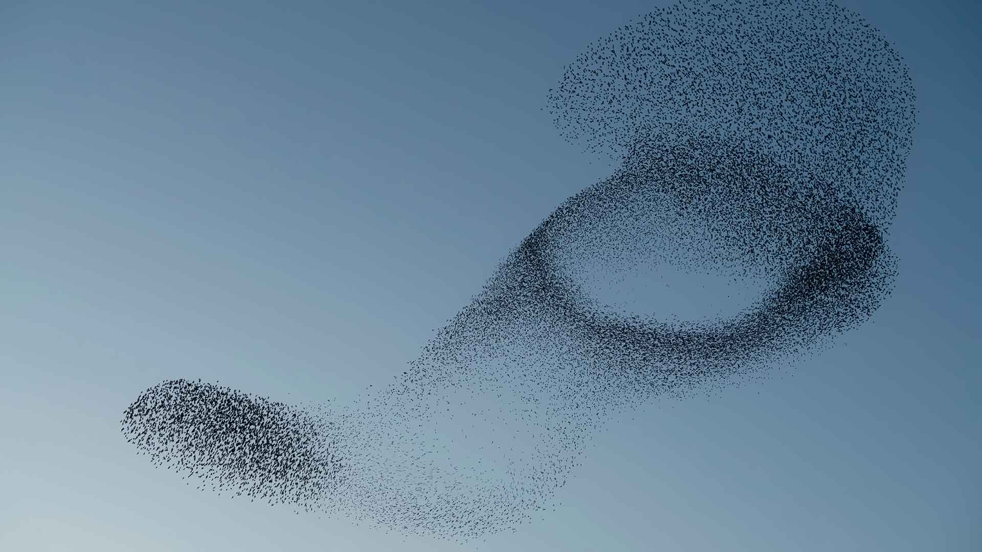 Untitled--An-Abolitionist-Game