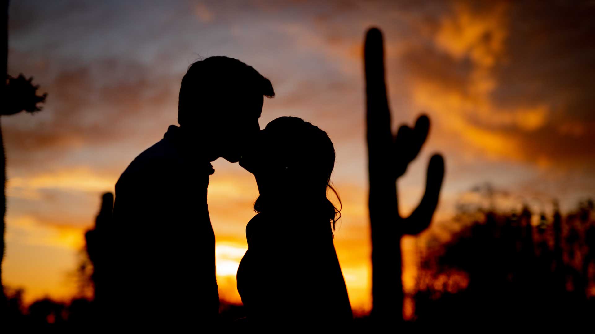 Second-Chance-Sunshine